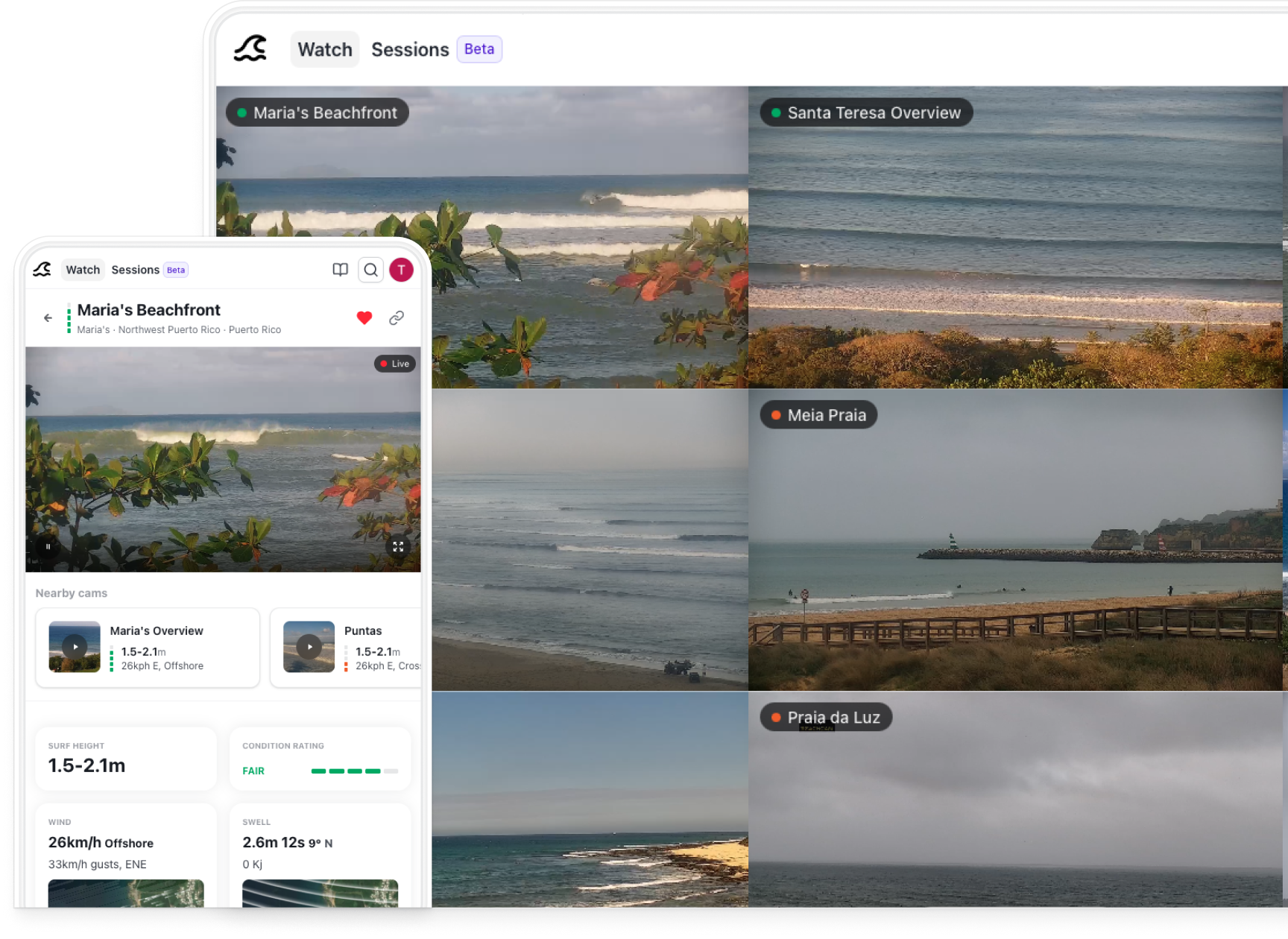 swell.watch features mockup